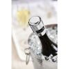 Fizz Champagne Stopper in Chrome