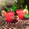Margarita FREEZEâ„¢ in Punch Pink  (set of 2) by HOSTÂ®