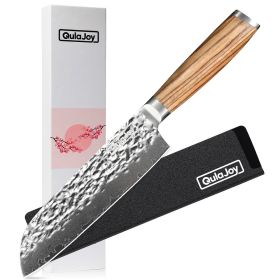 Qulajoy Nakiri Chef Knife 6.5 Inch - Professional Japanese 67 Layers Damascus VG-10 Steel